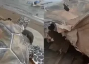 Patung Penyu Senilai Rp15,6 M di Sukabumi Jebol, Terbuat dari Kardus? Netizen: Ridwan Kamil…